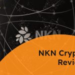 NKN Crypto Review